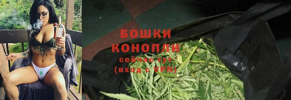 ПСИЛОЦИБИНОВЫЕ ГРИБЫ Медногорск