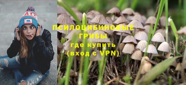 ПСИЛОЦИБИНОВЫЕ ГРИБЫ Медногорск