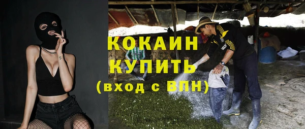 ПСИЛОЦИБИНОВЫЕ ГРИБЫ Медногорск