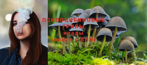 мяу мяу мука Мегион