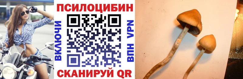 Галлюциногенные грибы Magic Shrooms  Белгород 