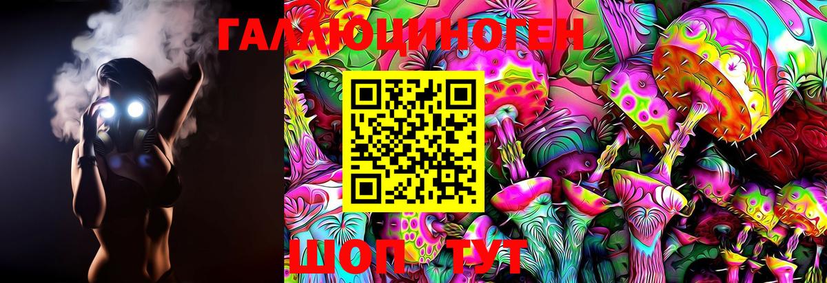 Галлюциногенные грибы Psilocybine cubensis Белгород