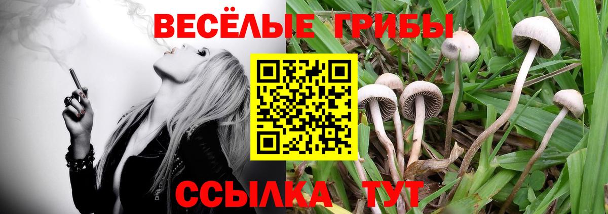 Псилоцибиновые грибы прущие грибы  Вход с VPN  Белгород 