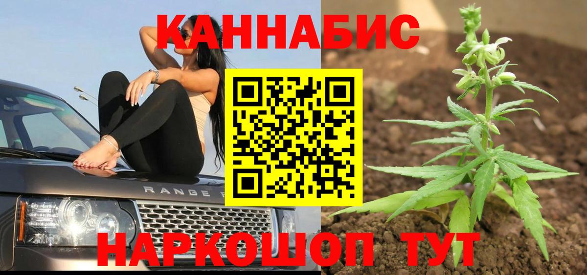 Бошки Шишки MAZAR Белгород