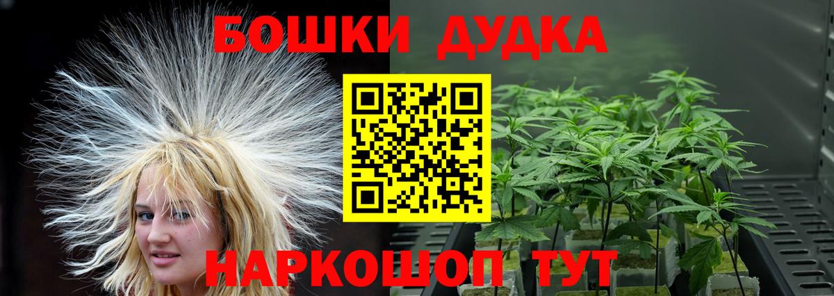 Конопля MAZAR  Марихуана ГИДРОПОН  Канабис гибрид  Белгород  Вход с VPN 